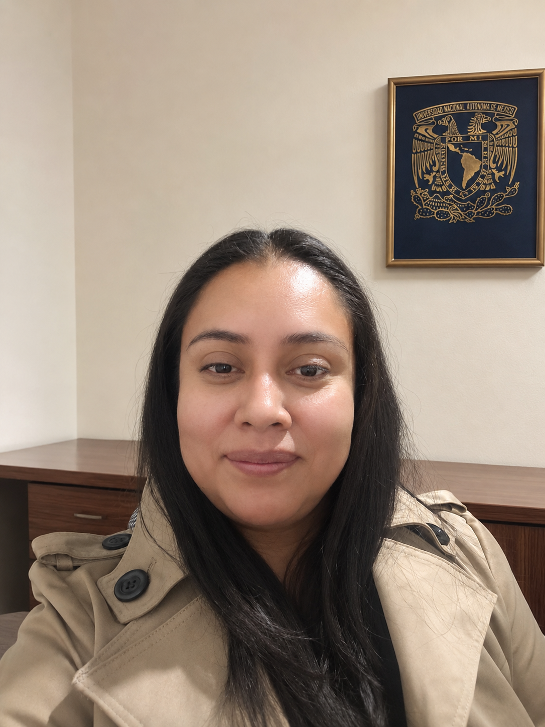 Iliana Villerías Alarcón