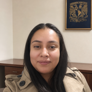 Iliana Villerías Alarcón